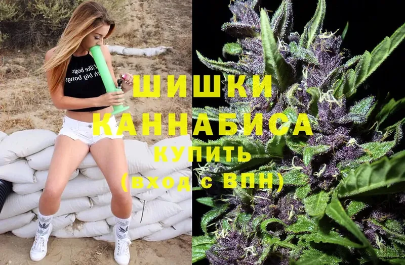 как найти   Аргун  Каннабис White Widow 